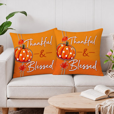 Housses de coussin décoratives en microfibre JYK Soft