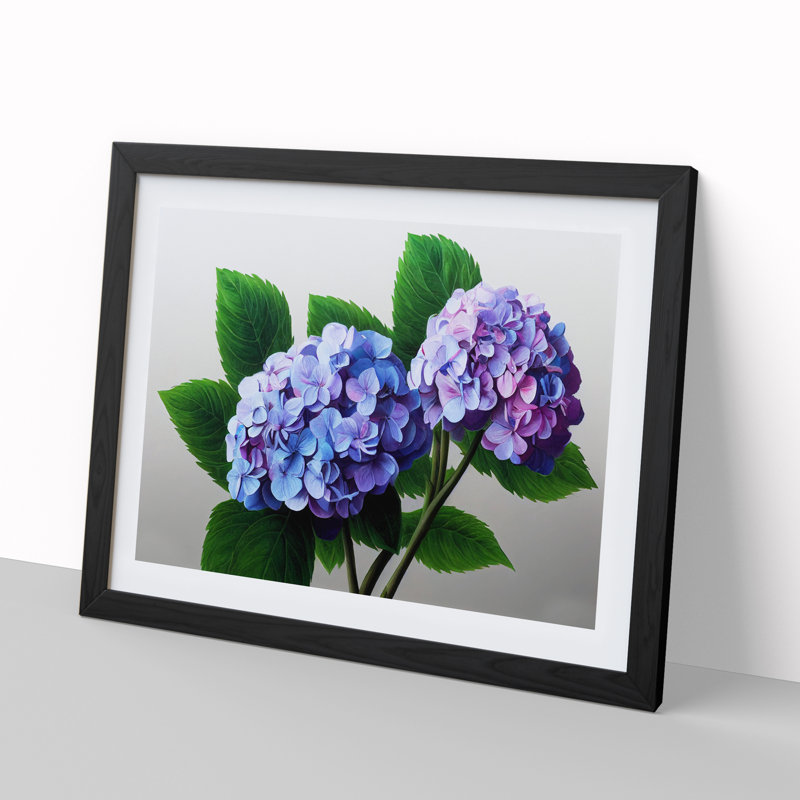 Impressive Hydrangea Flowers - Single Picture Frame Print, Black, 34cm H x 46cm W x 2cm D