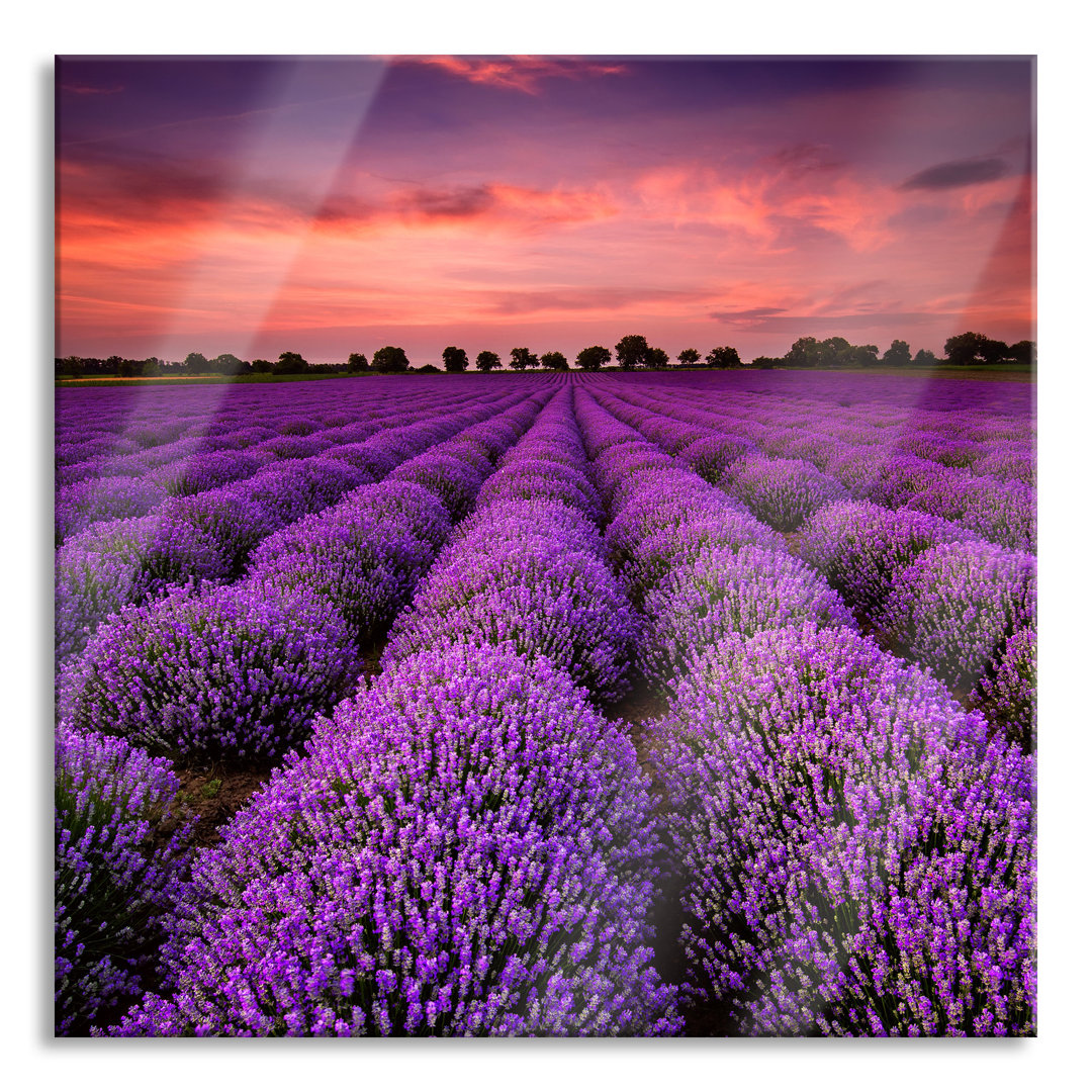 Glasbild Bunderschöne Lavendel Provence