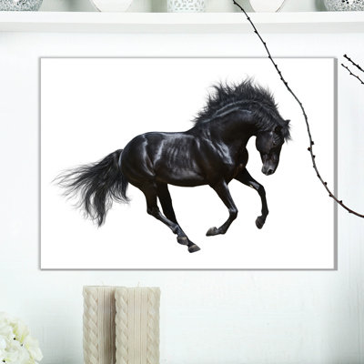 " Black Stallion In Motion "