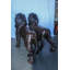 Paire de statues de lions géants en bronze de la collection Nifao, décorations majestueuses de la faune 78 po x 24 po x H 57 po