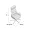 Ashlynn Executive Chair with Headrest