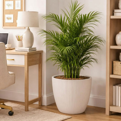 Pot à fleurs rond moderne en plastique, pot de fleurs blanc de 11 pouces avec trou de drainage, décoration de bureau pour le bureau à domicile