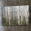 1 Piece Wrapped Canvas Wall Art-12309248