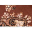 Nickelson Oriental Hand Woven Area Rug-1732346394