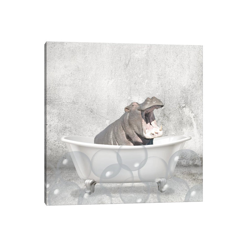 Baby Hippo Bath by Kimberly Allen - Wrapped Canvas Print, 66.04 cm H x 66.04 cm W x 1.91 cm D