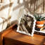 Sagebrook Home 4X6 Wavy Arch Photo Frame, White-1107009328