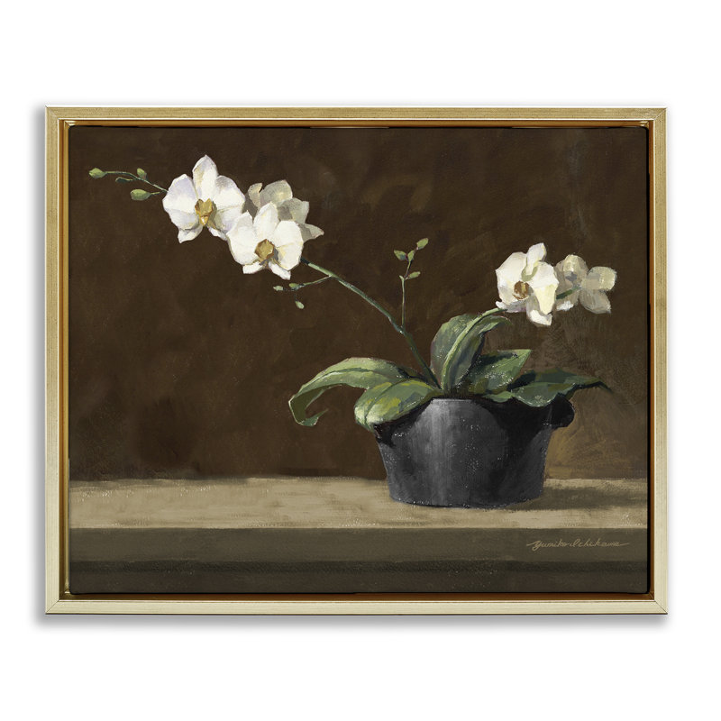 Orchidée blanche en pot sur cadre flottant en corniche, design par Yumiko Ichikawa, Cadre flottant métallique doré