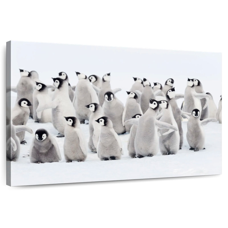 Brampt Baby Emperor Penguins, 26" H x 39" W
