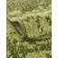 Tapis vert Roshaun-1476567049
