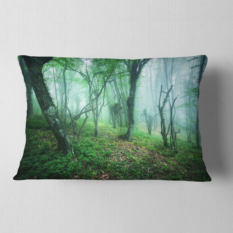 Coussin Schafer