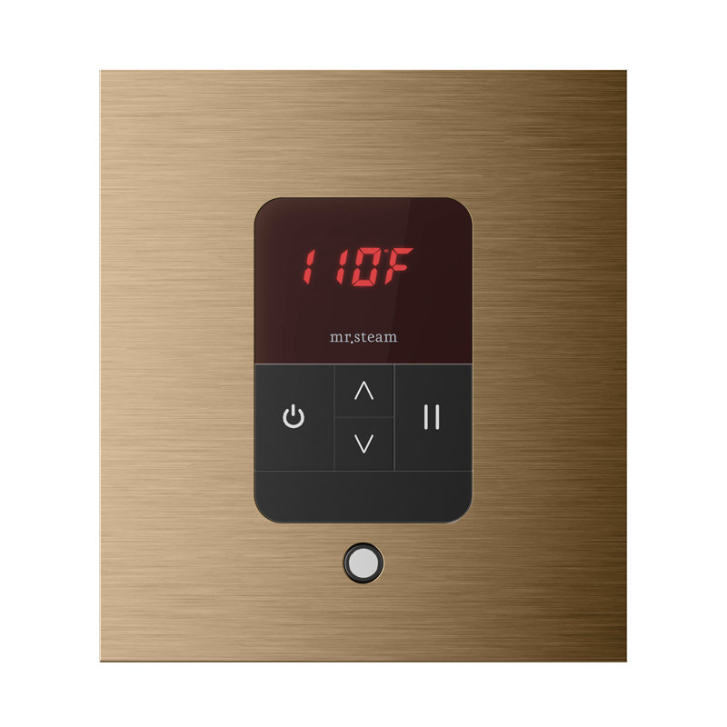 iTempo Square Steam Shower Control and Steamhead, Brushed Bronze