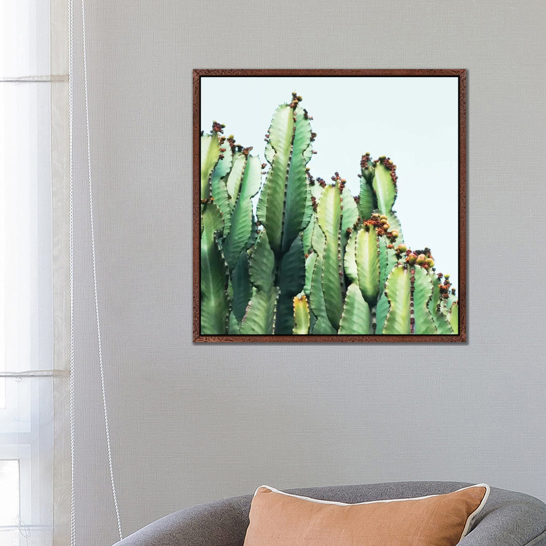 Leinwandbild Cactus Love von 83 Oranges