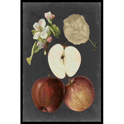 Midnight Harvest I