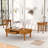 Wood Coffee Table Set