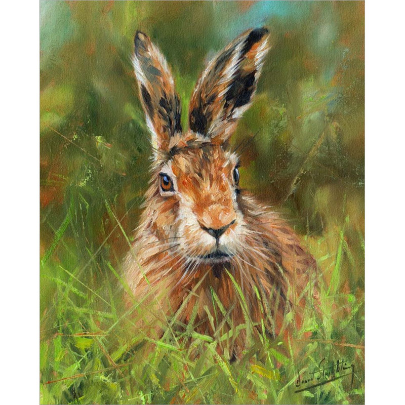 «Hare 2» par David Stribble - peinture sur toile tendue