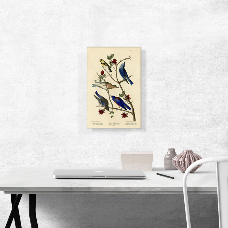 Reproduction d'art sur toile tendue, Townsend's Warbler, H 18 po x l 12 po x 1,5 po