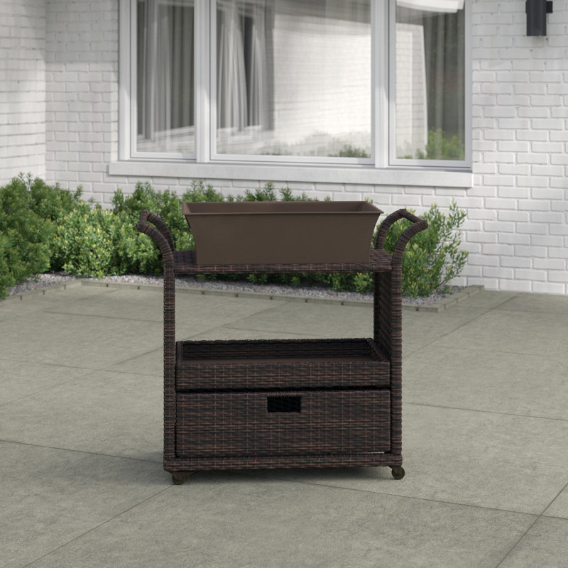 Zytavious Bar Cart