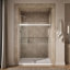 Levity 74" H x 59.63" W Bypass Shower Door with CleanCoat® Technology