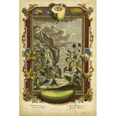 Genesis Fruits I - Wrapped Canvas Print