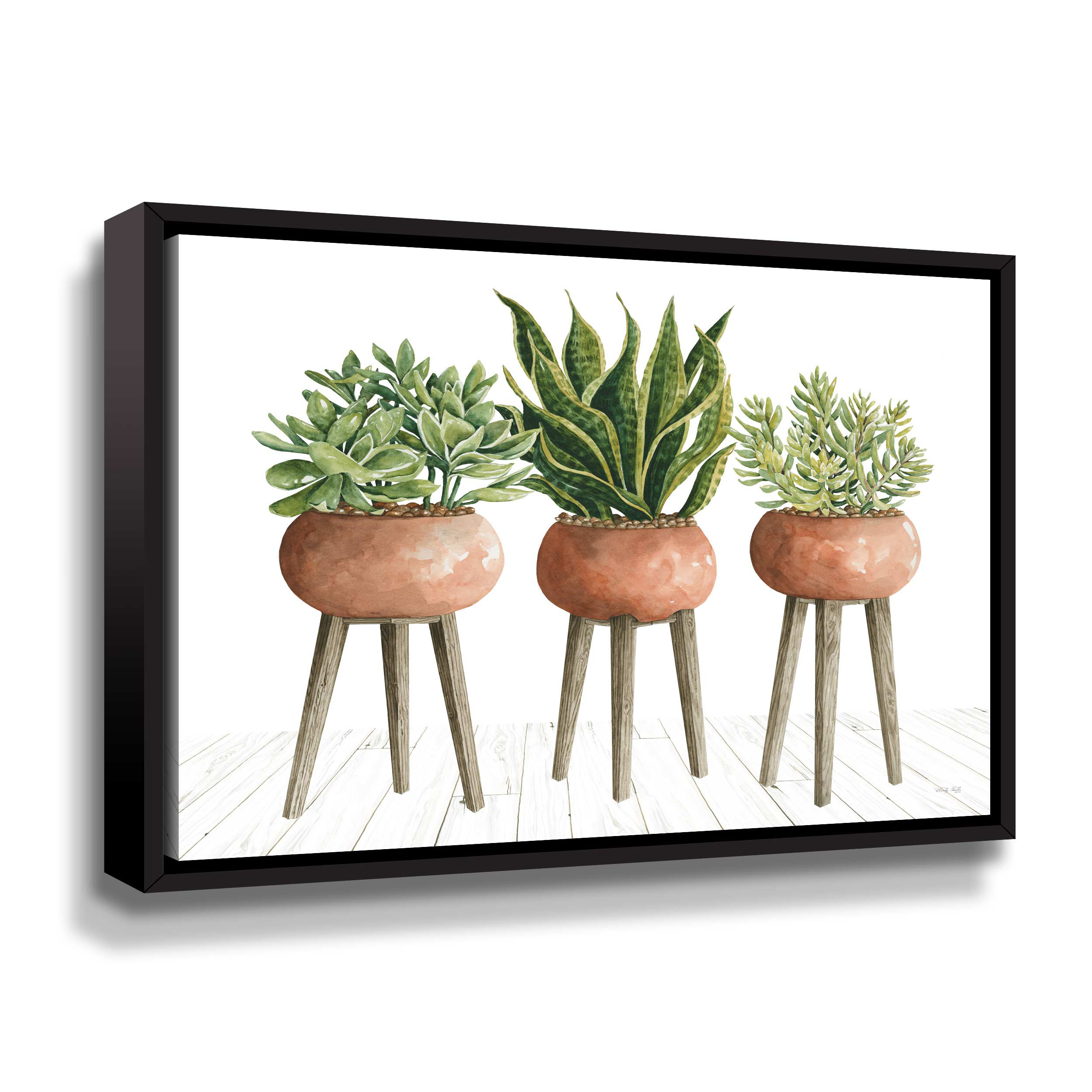 ArtWall Clay Pot Trio Of Plants Framed On Canvas Print | Wayfair