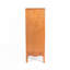 Unité de linge de salle de bain autoportante, structure stable, surface anti-odeurs, 14,5 po x 12,6 po x 35,7 po, garde-manger élégant - fabrication, fermoirs de porte silencieux et résistants