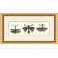 Specimen Trio 3 Print by Lillian August
