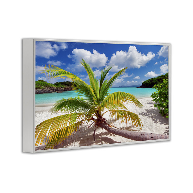 Palmier à travers la plage, estampe numérique par Dennis Frates, Giclée encadrée blanc bord de mer, H 12 po x l 18 po