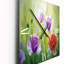 Horloge murale «Blossoming Poppies in the Morning II»-283321347