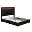 Soft Quilted Bed Frame with USB Ports, Ambient Night Light, and Decorative Rivets-1523413353