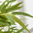47.2'' Faux Bamboo Tree in Cement Pot