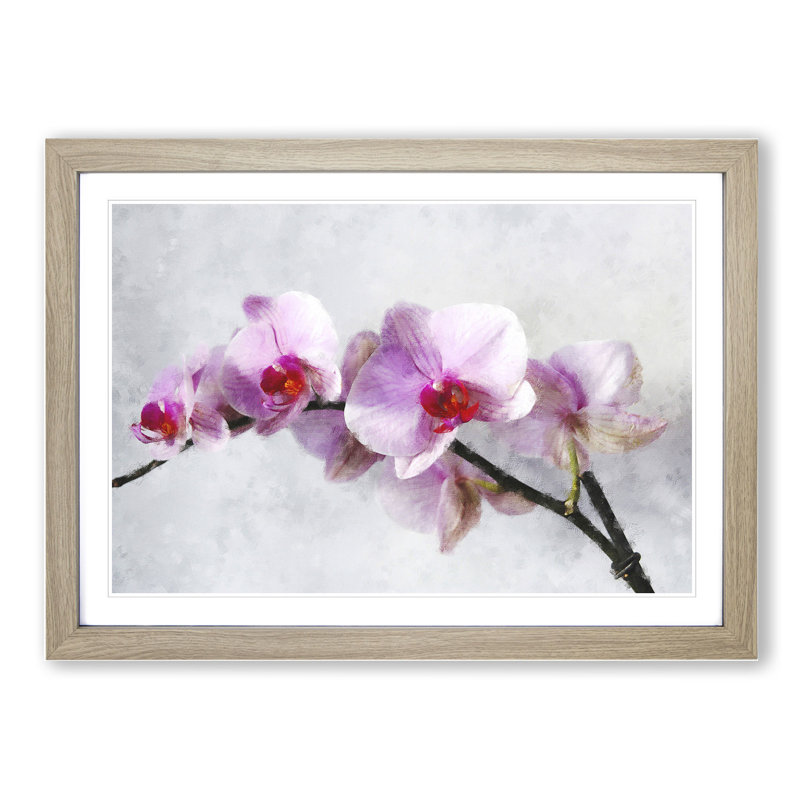 Orchid Flowers Vol.5 - Picture Frame Painting, Oak Framed, 48cm H x 65cm W x 2cm D