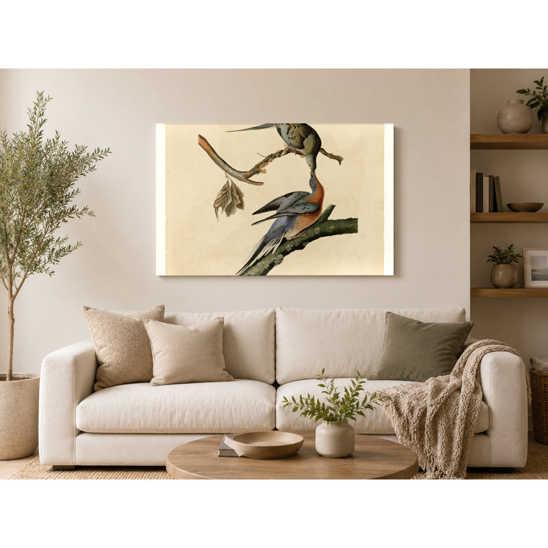 Passager pigeon (planche LXII, 1827) - art mural sur toile paysage, 30" W x 20" H