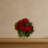 Geranium Bush Silk Plant-24745582