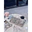 Plateau en plastique Morenike-1564666714