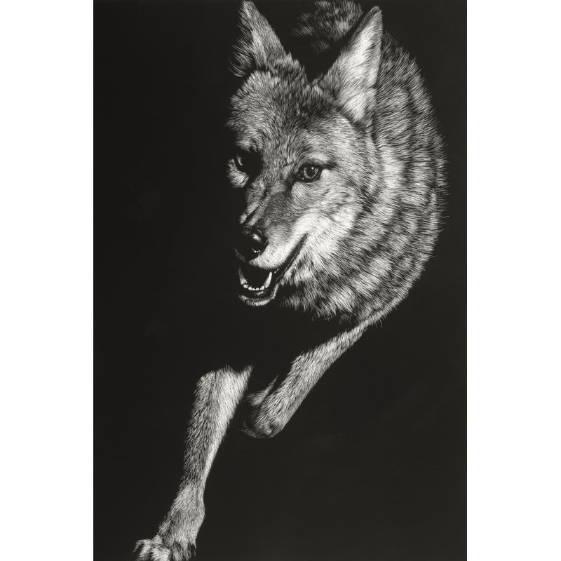 Wild Scratchboard V by Julie T. Chapman - Graphic Art, 91 cm H x 61 cm W, Wrapped Canvas