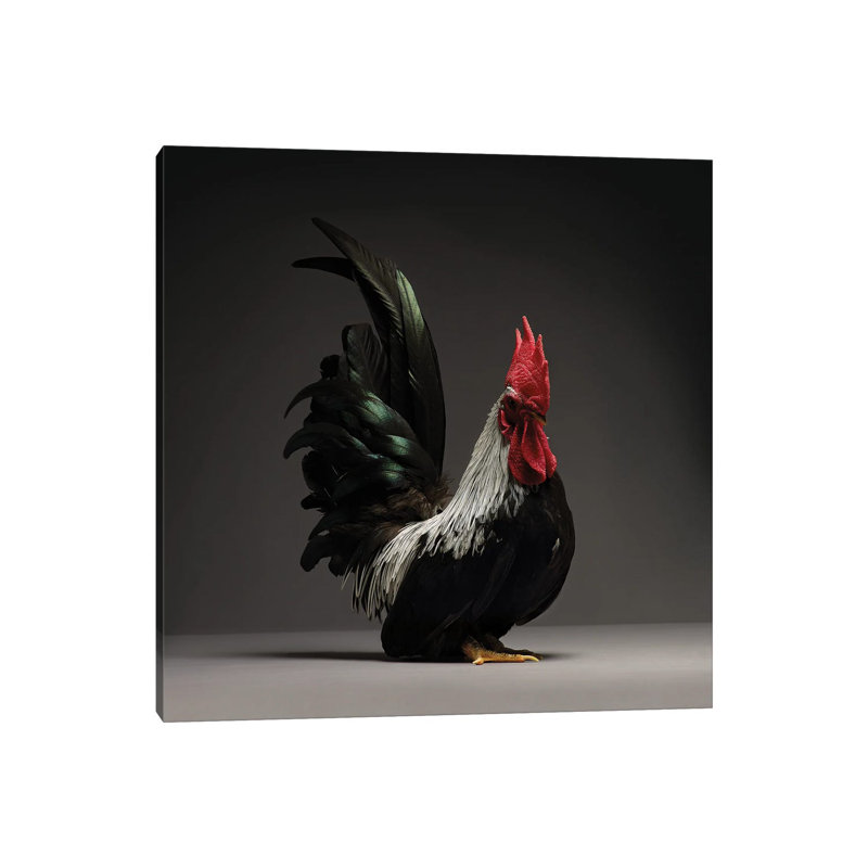 Chabo by CHICken - Wrapped Canvas Print, 45.72 cm H x 45.72 cm W x 1.91 cm D