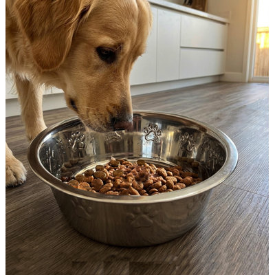 32 Oz Embossed Pet Bowl