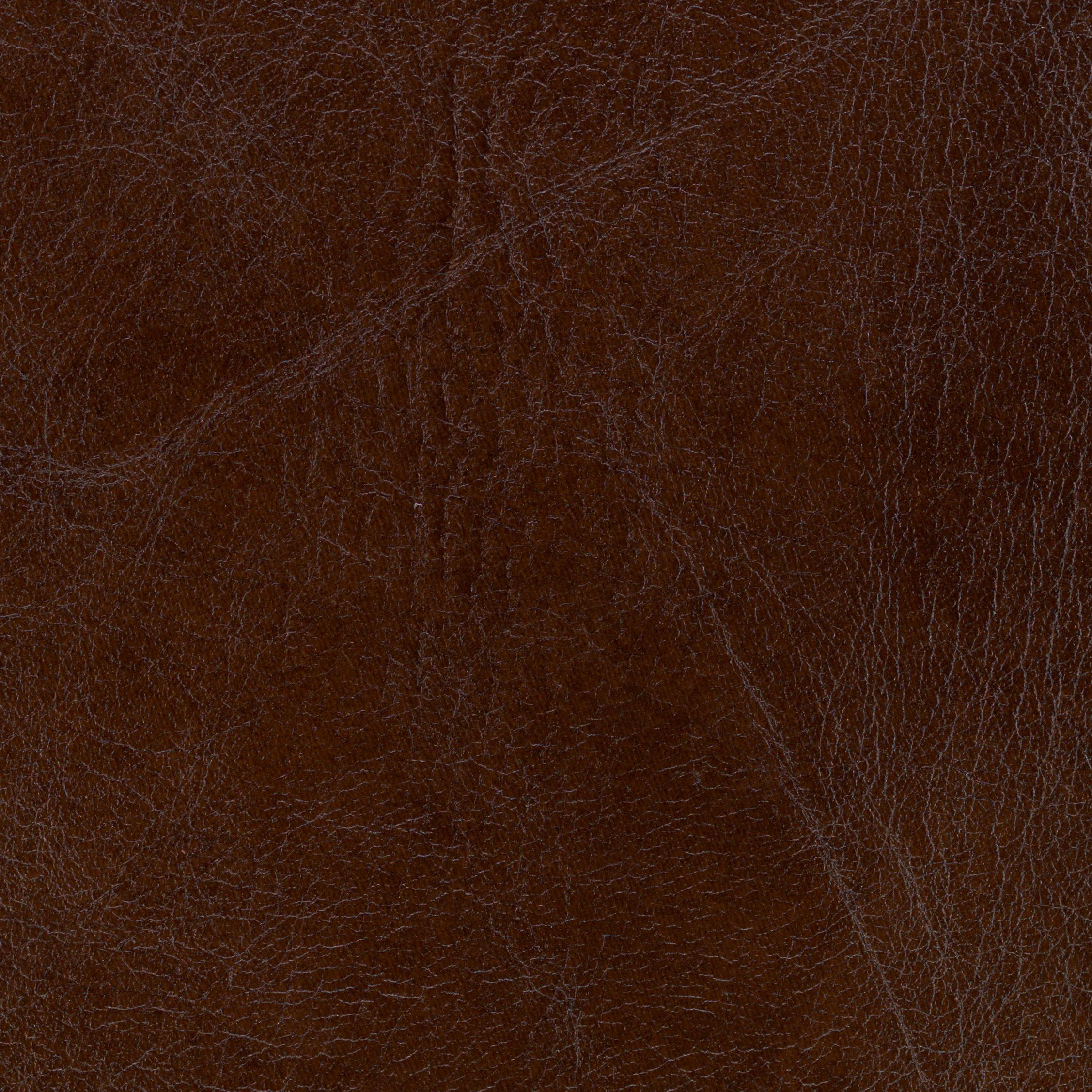 Wayfair Samples Guanaco West Sample Wayfair