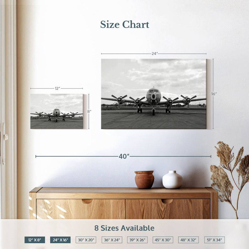 Mehar Airplane, 16" H x 24" W