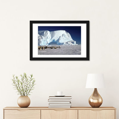" Emperor Penguin Colony And Iceberg, Weddell Sea, Antarctica " Color Photography