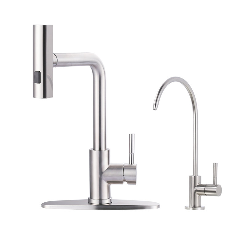 15.7 In Single Handle 360 Degree Spout Swivel Pull Out Sprayer Kitchen Faucet With Water Filter In Brushed Nickel