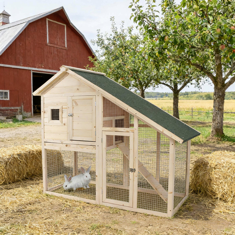 Cage à lapin, cage à lapin résistante aux intempéries, maison pour animaux spacieuse