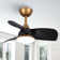 Haywa 28'' Ceiling Fan with LED Lights