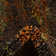 Rizer Washable Abstract Indoor Rug