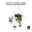Trigg Planter Wall Decor-35616063