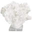 Sculpture décorative en corail blanc texturé avec base en acrylique transparent