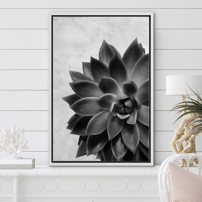 Gros plan sur une plante grasse en noir et blanc en noir et blanc, Blanc, H 24 po x l 16 po