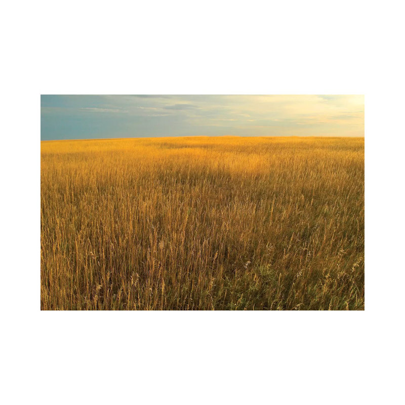 Upper Prairie In Badlands National Park, South Dakota by Tim Fitzharris - Wrapped Canvas Gallery-Wrapped Canvas Giclée