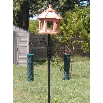 Feeder Pole Plus Bird Feeder Pole Black 5 Ft